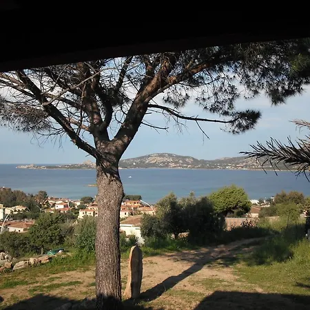 Apartment Il Pino